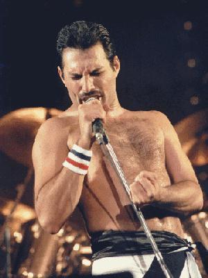  Freddie♥