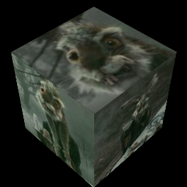  March 野ウサギ, うさぎ cube