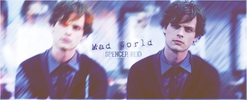  Spencer Reid