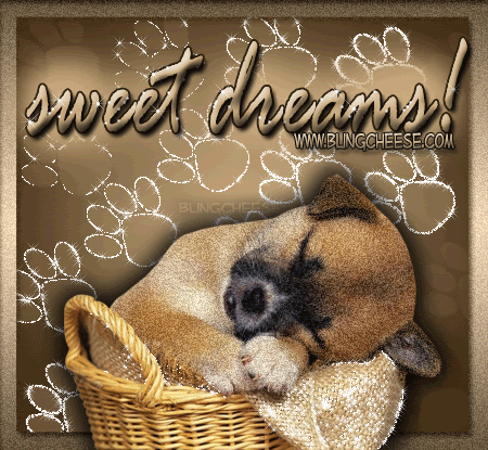  Sweet Dreams