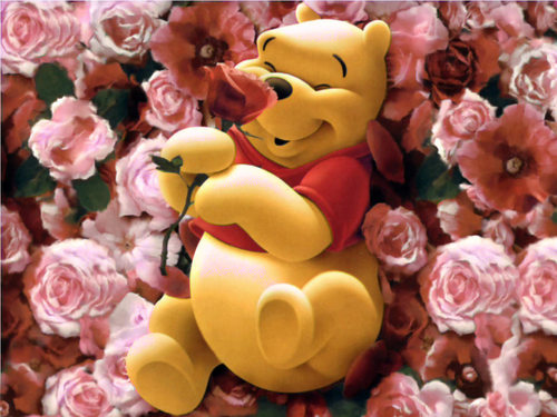  Wini The Pooh In hoa hồng
