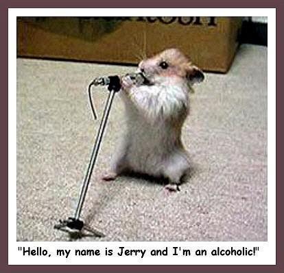  alcoholic criceto, hamster