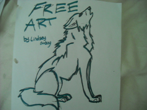  lindsey's serigala, wolf art