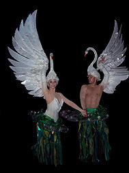  angsa, swan costumes