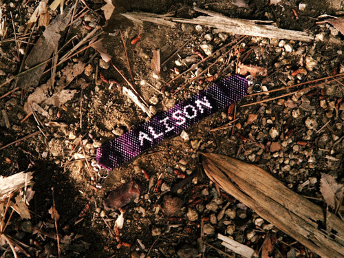 Alison DeLaurentis 1x03