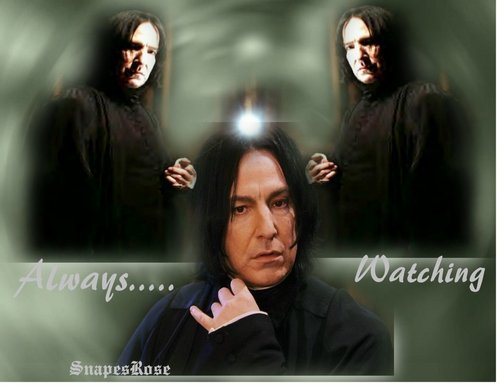  Severus- Always Watching