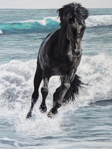  The black stallion in water painting