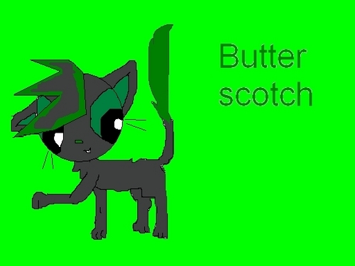 Buttersotch as a cat