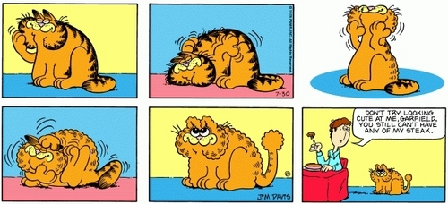 Garfield -7/30/1978