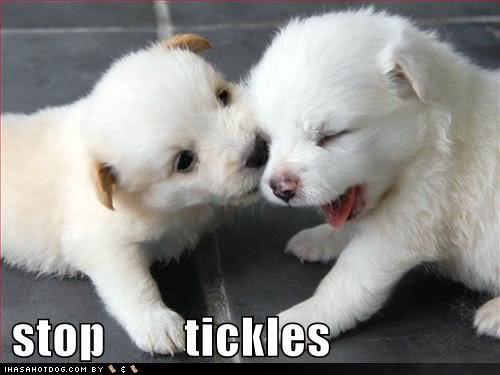 It Tickles :)