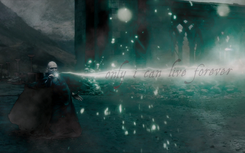  Lord Voldemort in Deathly Hallows