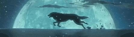  Running serigala, wolf (Wolf's Rain)