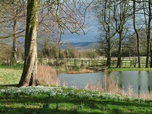  spring lake scenes