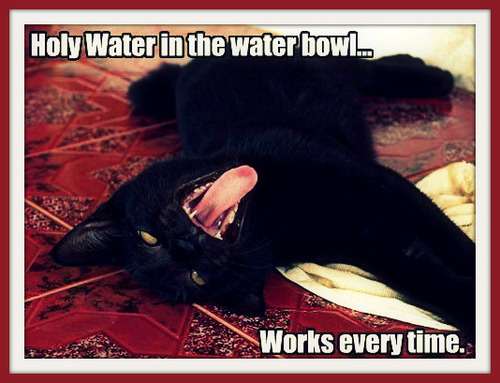  'Holy water in the water bowl...works everytime :))