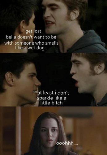  Funny Twilight Picture