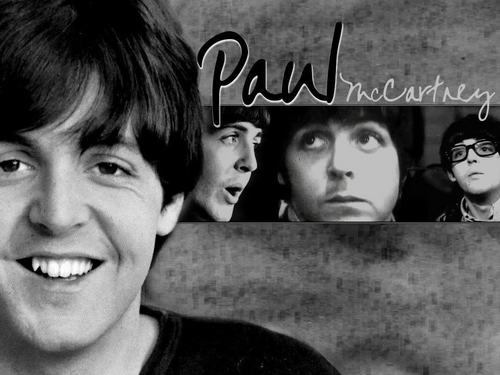  PAUL