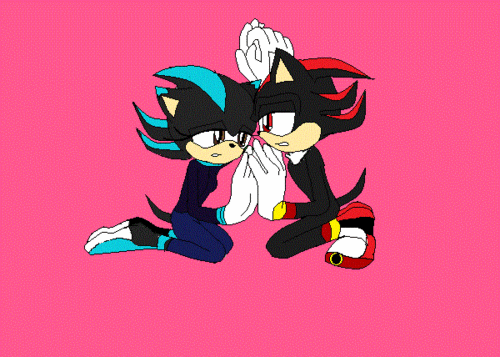  Shadow and me (my fã character name is Shade the hedgehog