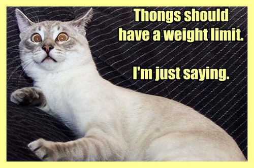  thONgs shouLD HAve a weIGHt limIT...IM JUst sayiNG :))