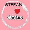  "Stefan luvs Cactus"