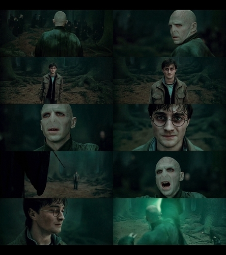  Deathly Hallows Voldemort n Harry
