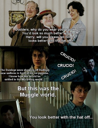  LOL...Harry Potter shabiki art