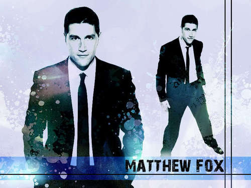  Matthew vos, fox
