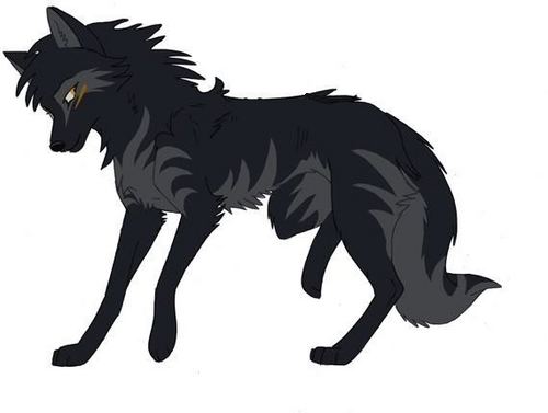  Shay,the serigala, wolf of Shadows