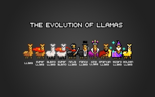The Evolution of Llamas