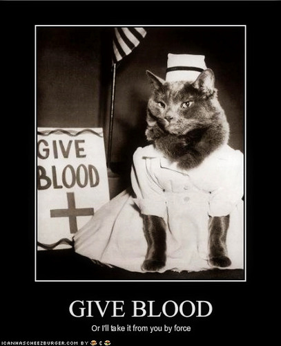  giVE BLooD