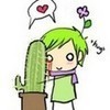  loving cactus is dangerous