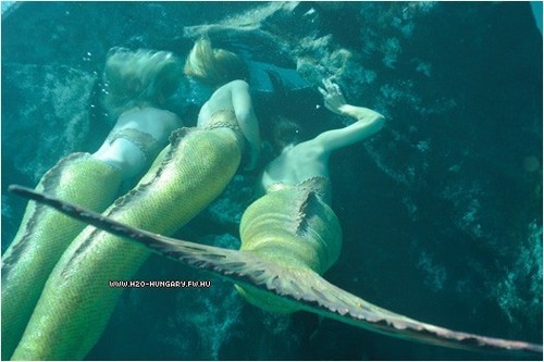  मत्स्य कन्याओं underwater