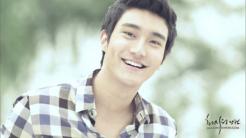  siwon(no other)2