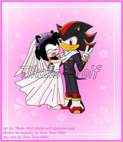  Shadow and Starlight's wedding