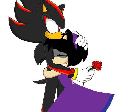  Starlight missed Shadow so much