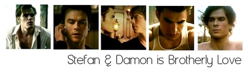  Stefan & Damon is Brotherly প্রণয় ♥