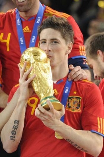  Torres World Cup Winner