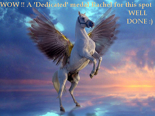  WOW !!! A 'DEDICATED' Medal for this spot Rachel , congratulations :)