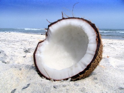 Yummy, Yummy Coconut