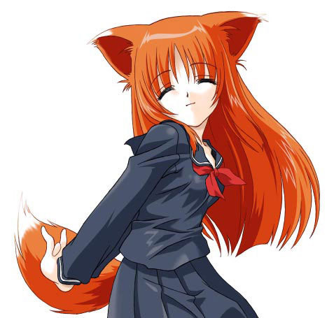  nekos and half rubah, fox girl