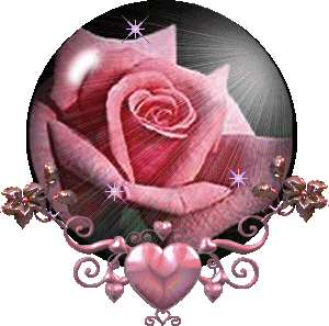  गुलाबी rose