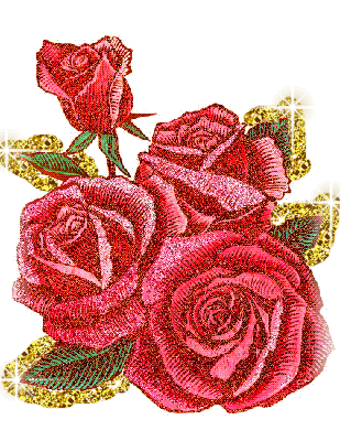  red Розы