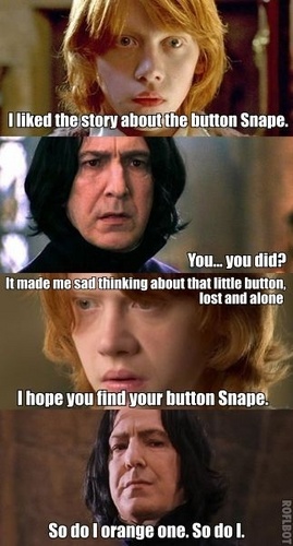  Snape's Diary. lol