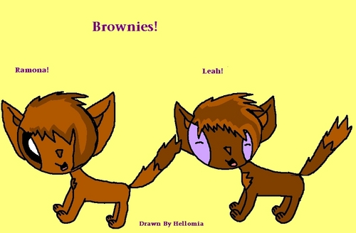  Brownies!