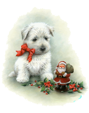 Christmas dog 
