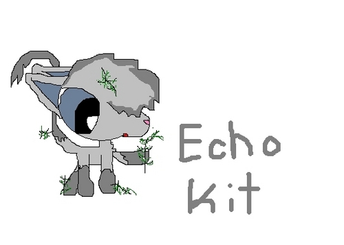  Echo kit messing with Herbs