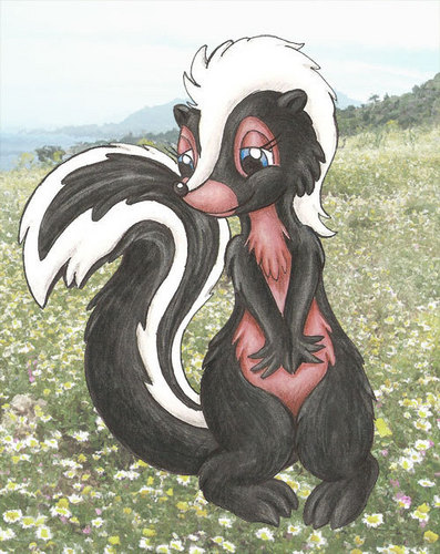  First skunk