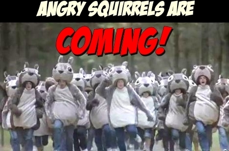  Normal Things Angry Squirrels Do