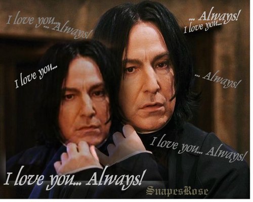  Severus-Always tình yêu