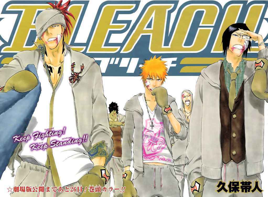 Covers - Bleach Manga & TV Photo (13909248) - Fanpop
