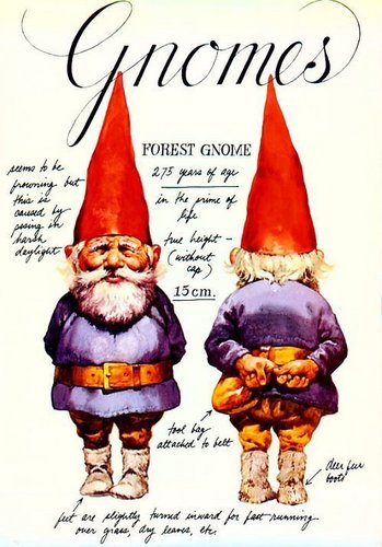  Gnomes